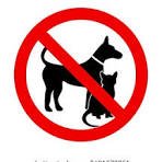 No mascotas